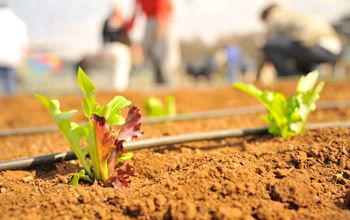 Bando “Coltiviamo agricoltura sociale”